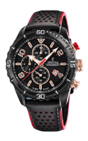 Watch Festina Man in Steel F20519/2